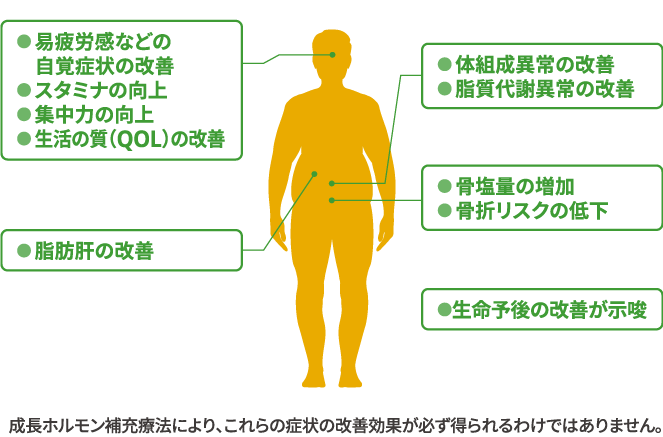 成長ホルモン補充療法に期待される効果