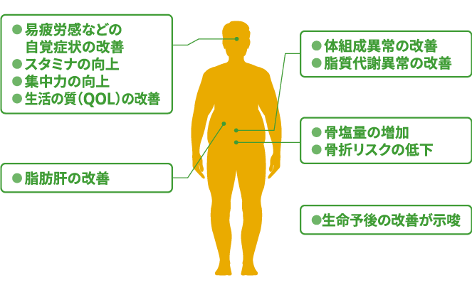 成長ホルモン補充療法に期待される効果